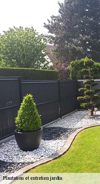 Plantation et entretien jardin