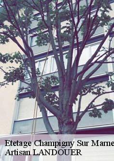 Etetage champigny-sur-marne-94500