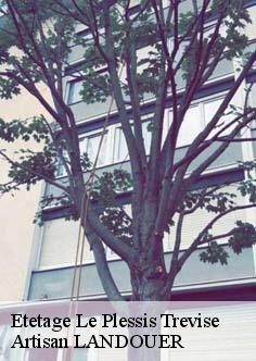 Etetage le-plessis-trevise-94420 Sauser Elagage