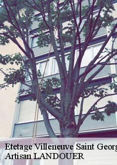 Etetage villeneuve-saint-georges-94190 Sauser Elagage