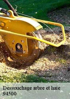 Dessouchage arbre et haie 94500