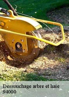 Dessouchage arbre et haie 94000