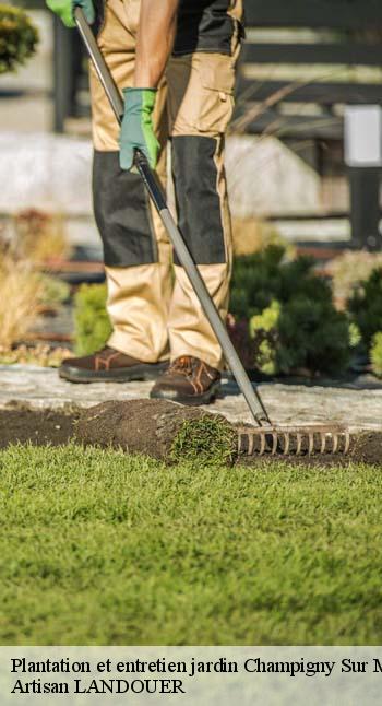 Plantation et entretien jardin champigny-sur-marne-94500 Sauser Elagage