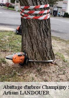 Abattage d'arbres champigny-sur-marne-94500