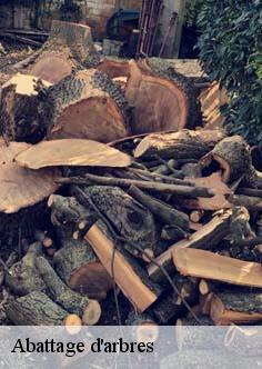 Abattage d'arbres