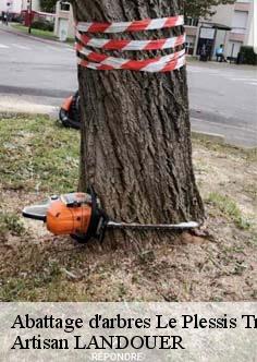 Abattage d'arbres le-plessis-trevise-94420 Sauser Elagage